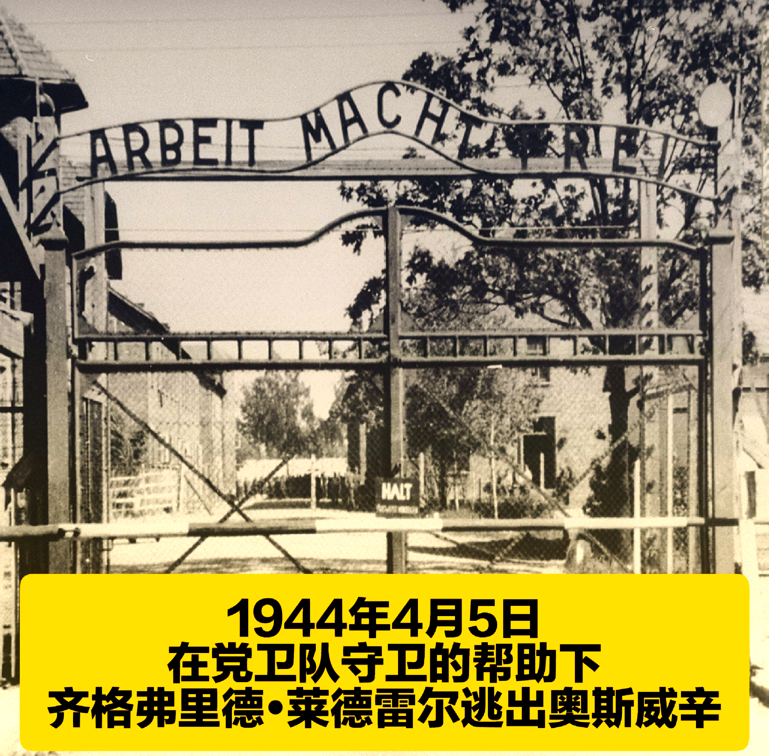 美因茨作战奥格斯堡，主场求生之路