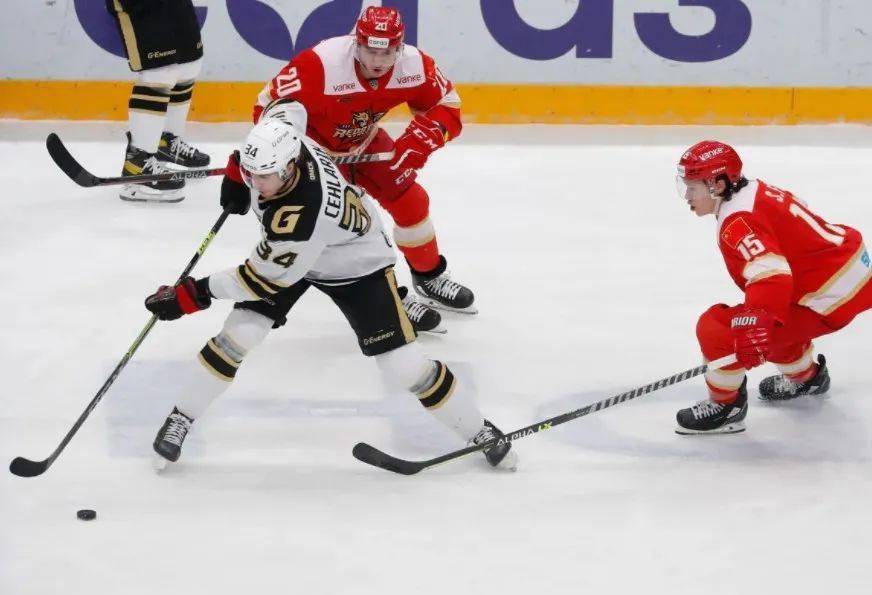 美国击败加拿大队夺得曲棍球冠军 美国击败加拿大队夺得曲棍球冠军