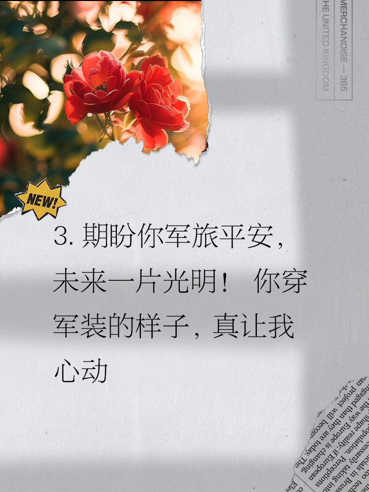 队员荣耀归来,披荆斩棘向荣耀进发的简单介绍 队员荣耀归来,披荆斩棘向荣耀进发的简单介绍